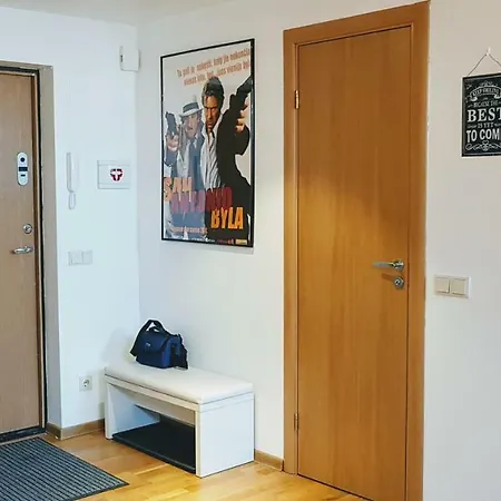 Beutiful, Bright And Cozy Studio Апартаменти Вільнюс